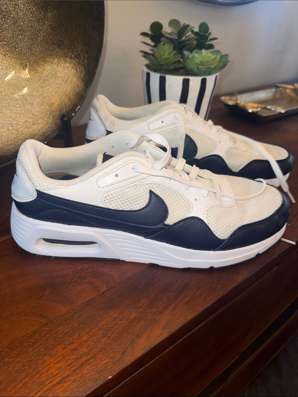 Nike Men’s White and Navy Low-Top Sneakers